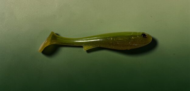 Fiske Feber